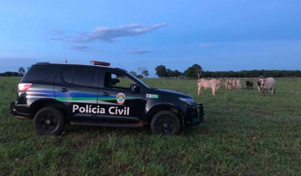 Polícia prende quadrilha que furtou gado com apoio de funcionário de fazenda