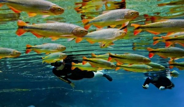 Com apoio do Governo MS, trade turístico estabelece metas para fortalecer setor nos próximos anos