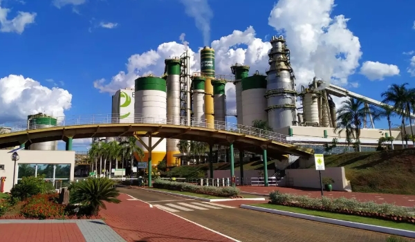 Empresa de celulose abre processo seletivo com 120 vagas para 5 cidades de MS