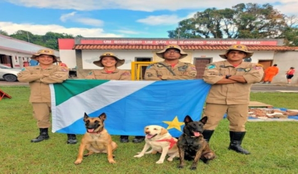 Cães com mais de 20 certificações reforçam atuação do Corpo de Bombeiros em Mato Grosso do Sul 