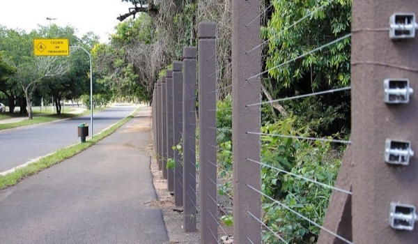 Parque dos Poderes recebe troca do cercamento para reforçar proteção da reserva ecológica