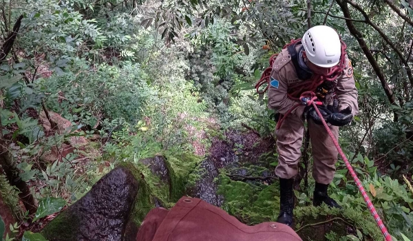 Bombeiros já percorreram raio de 1,5 km em busca por idosa desaparecida