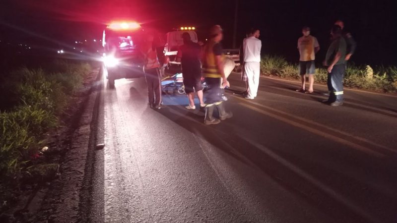 Vaca solta na rodovia BR-262 causa acidente com motociclista