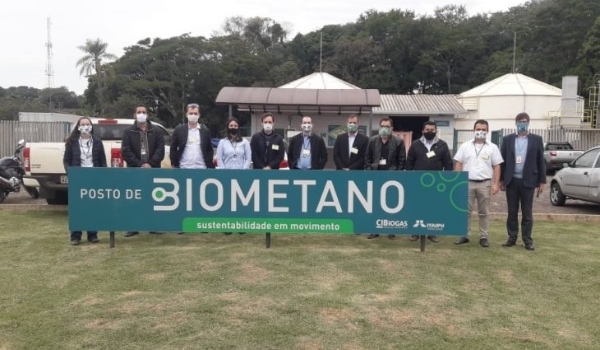 UEMS/Mundo Novo tem projeto de R$ 674 mil aprovado no edital MS Carbono Neutro