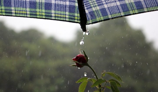 Chuva no final de semana pode atingir 50 mm ao dia e temperaturas não devem passar dos 30°C 