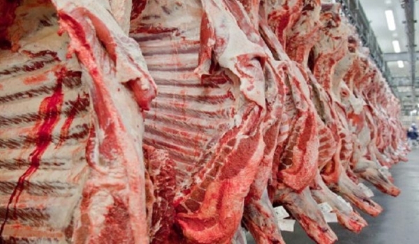 Mato Grosso do Sul garante a excelência da carne com Programa Precoce MS