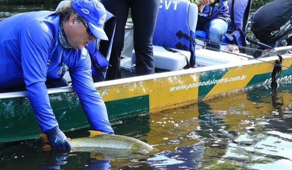 Pesque e solte está liberado a partir desta terça-feira somente nas calhas dos rios Paraguai e Paraná