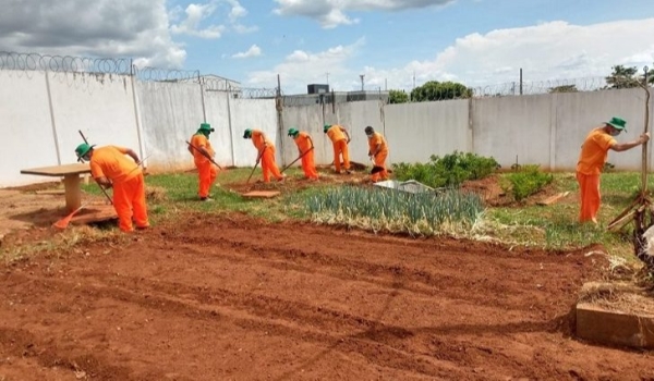 Parceria entre Agepen e Senar leva capacitação profissional em horticultura a reeducandos de Nova Andradina