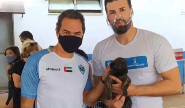 Ação vai castrar cães e gatos que vivem em escolas municipais da Capital