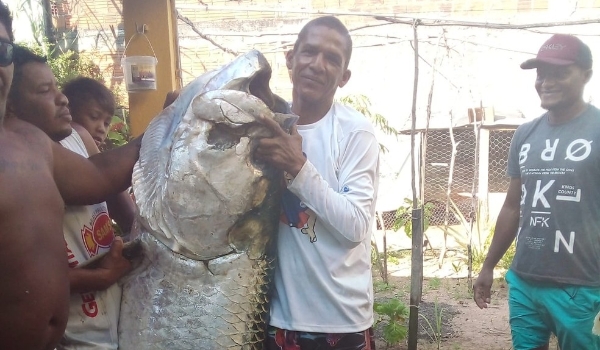 Pescador captura peixe de mais de 100 quilos no litoral do RN: 'Foi luta pra tirar da água'