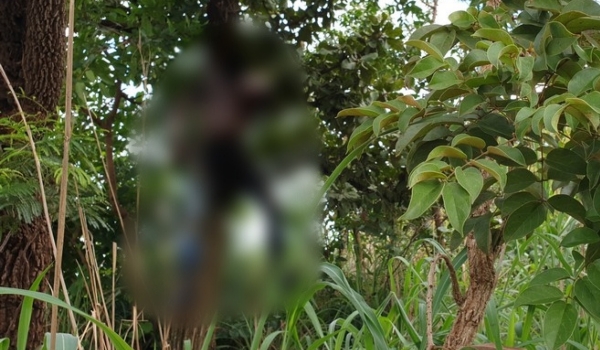 Homem é assassinado e tem corpo pendurado com arame farpado em árvore