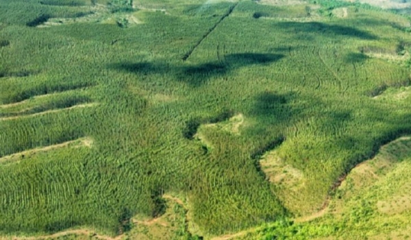 Prefeituras já podem cadastrar ações de Educação Ambiental no Imasul para concorrer ao rateio do ICMS Ecológico