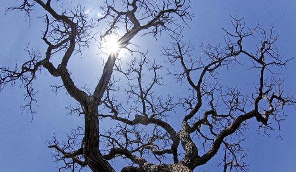 Tempo continua firme e seco em Mato Grosso do Sul nesta quinta-feira
