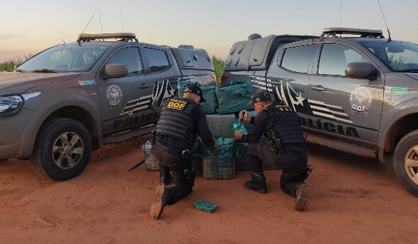 DOF encontra cocaína próximo de onde carga milionária da droga foi apreendida