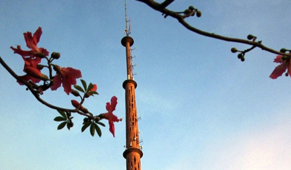 Sábado de calor e temporais isolados em Mato Grosso do Sul