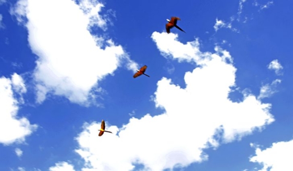 Tempo firme com máxima de 37°C abre a semana em Mato Grosso do Sul