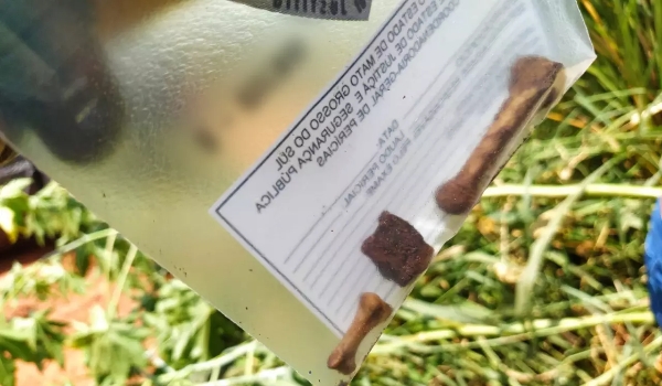 Polícia acha ossos que podem ser de corpos de casal esquartejado e queimado