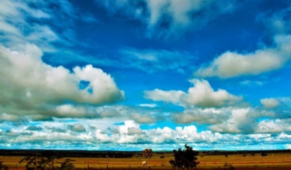 Quinta-feira com previsão de chuva forte e trovoadas em Mato Grosso do Sul