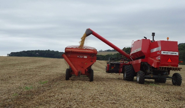 Colheita de soja leva a recorde os preços dos fretes para todas as regiões