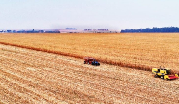Valor Bruto da Produção Agropecuária de MS apresenta crescimento de 17,85% nos últimos 3 anos