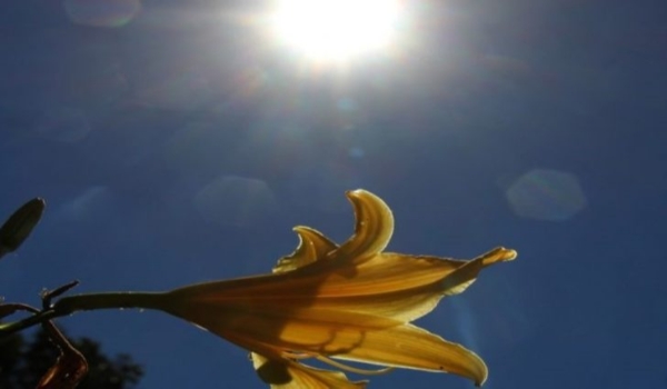Carnaval terá combinação de sol, calor e pancadas de chuva em Mato Grosso do Sul 