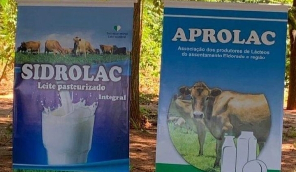 Marca de leite produzida em assentamento vai alimentar crianças de escolas em Sidrolândia