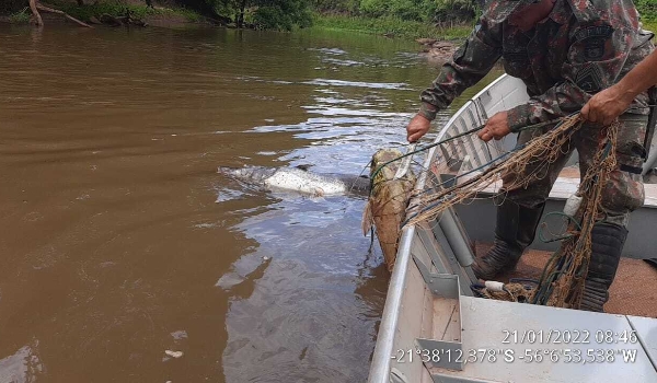 PMA apreendeu 126 quilos de pescado e aplicou R$ 53 mil em multas na piracema