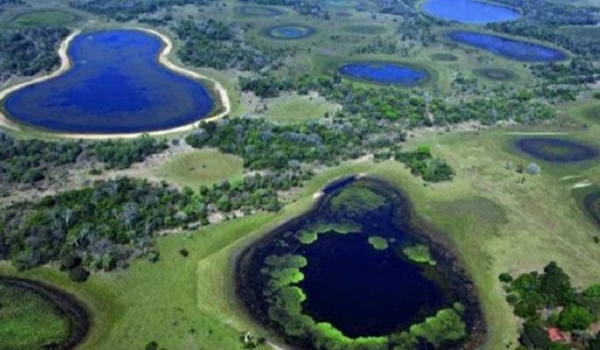 Municípios têm até 31 de março para garantir recursos do ICMS Ecológico