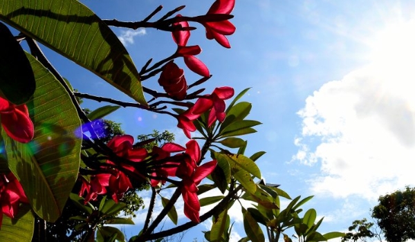 Primeiro final de semana de março reserva tempo firme e temperaturas em elevação