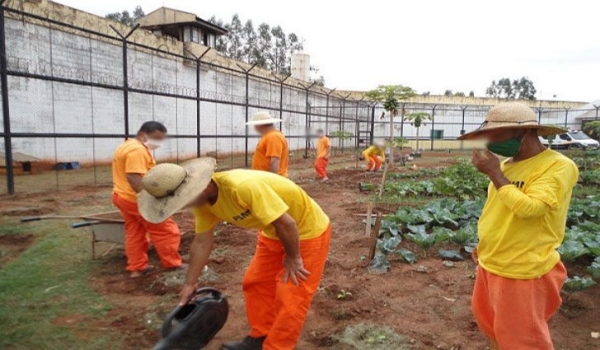 Trabalho no sistema penitenciário gera economia de R$ 44 milhões por ano