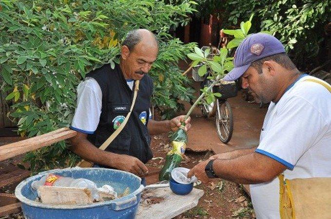 Em meio à pandemia, dengue atinge quase 700 pessoas em Dourados