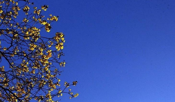 Semana começa com tempo firme e sol em MS