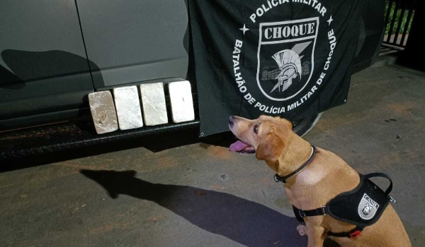 Flagrada com cocaína por cão farejador, paranaense vai continuar presa
