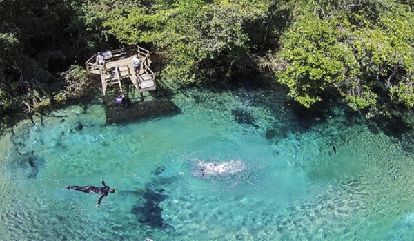 Com inscrições abertas para toda comunidade, III Seminário Estadual das Águas acontece dia 21
