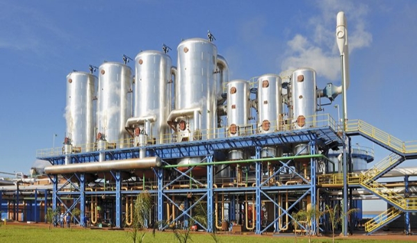 Carbono Neutro: geração de energia elétrica a partir da biomassa de cana-de-açúcar aumenta 365% em MS