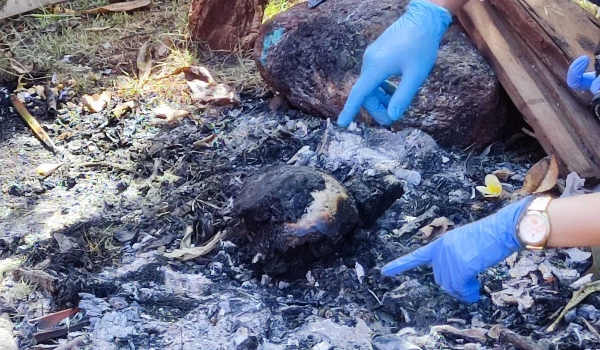 Homem é assassinado e corpo queimado no quintal; filho é o principal suspeito