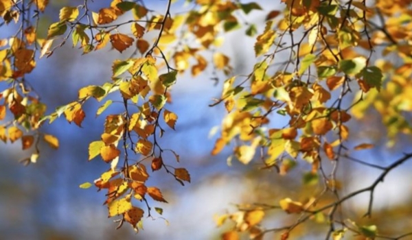 Outono terá menos chuva que o normal para a estação e frio sem extremos