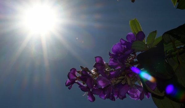 Tempo firme, calor e chuvas isoladas marcam a quinta-feira em Mato Grosso do Sul