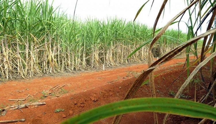 Governo tenta barrar compensação a usinas