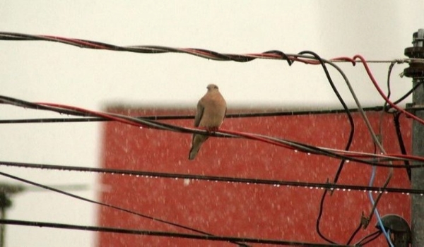 Instabilidades ganham força no último dia de verão em Mato Grosso do Sul