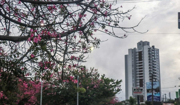 Tempo instável predomina e máxima não passa dos 33ºC nesta segunda em MS
