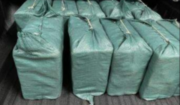 Piloto diz que desconhecia droga em avião e pensava carregar peças agrícolas