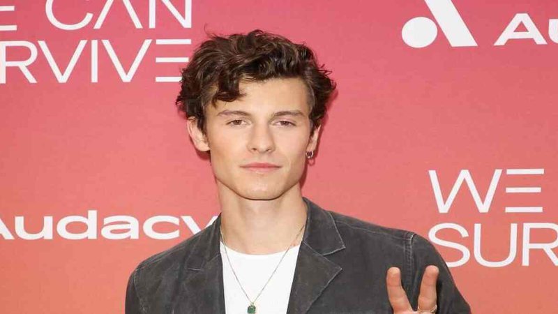 Shawn Mendes revela atual status após término com Camila Cabello