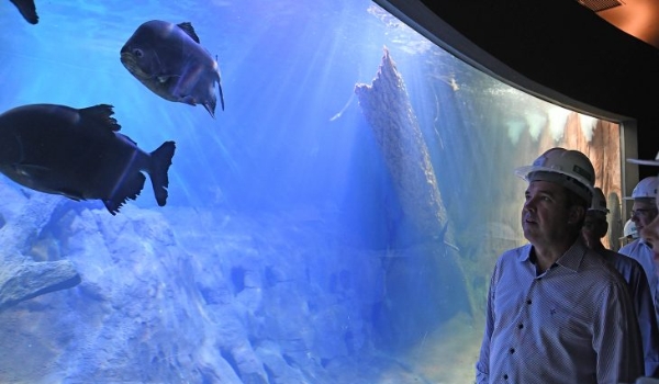 “Bioparque Pantanal” será inaugurado na próxima segunda-feira, anuncia Riedel