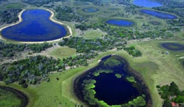 Municípios têm até 31 de março para garantir recursos do ICMS Ecológico
