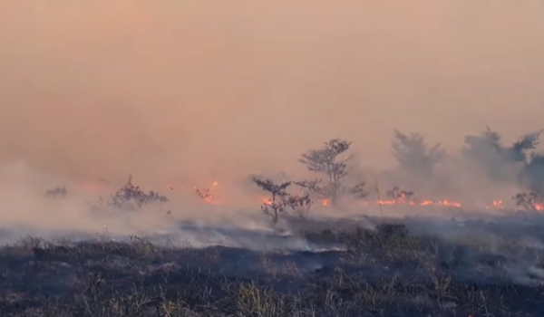 Três cidades de MS estão em ranking nacional com mais impactos causados por incêndios