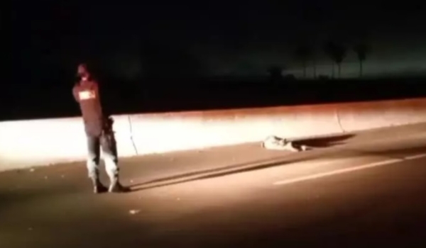 Pedestre morre atropelado por ônibus de estudantes ao tentar atravessar rodovia