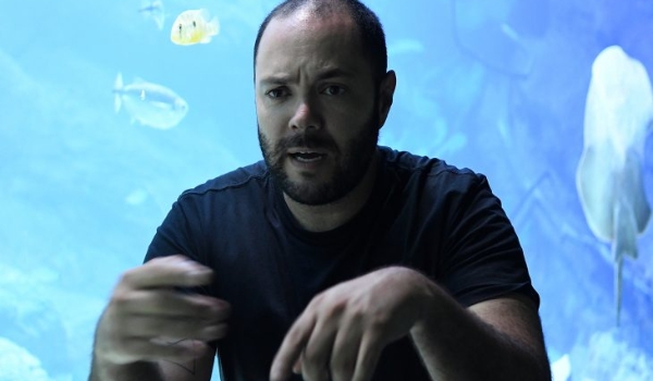 Tanques do Bioparque Pantanal estarão 100% povoados em seis meses; entenda