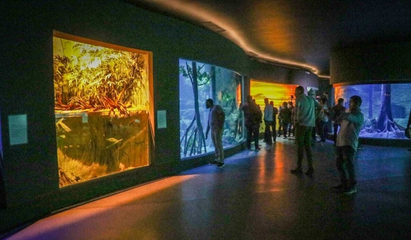 Agendamento para visita ao Bioparque Pantanal começa dia 22 de abril