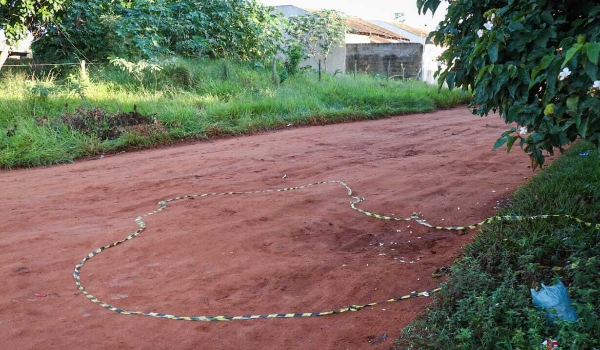 Homem é atropelado por condutor sem CNH e morre no Jardim Noroeste